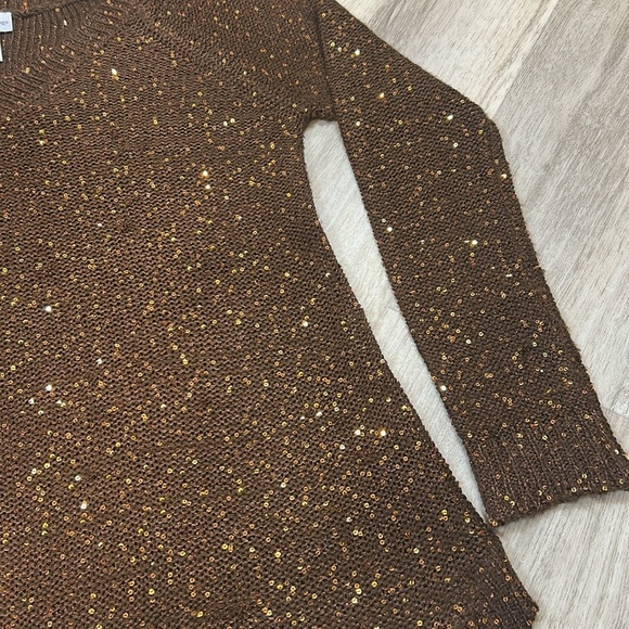 Soft Surroundings Brown Sequin Embellished Shimmer Knit V-Neck LS Tunic Sweater - Picture 4 of 9